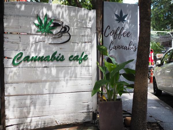 Are cannabis cafes coming to…