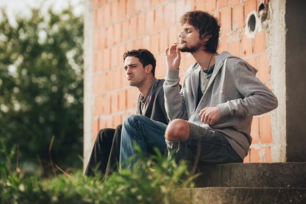 photo of Shrooms vs weed: the difference between magic mushrooms and cannabis image