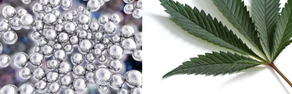 Study Finds Silver Nanoparticles Can…