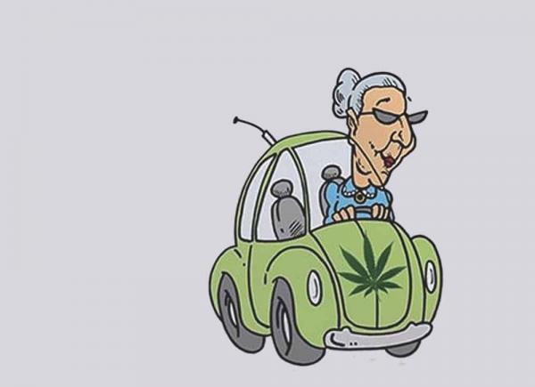 photo of Silver Heads: Medical Cannabis Advocacy for Seniors image