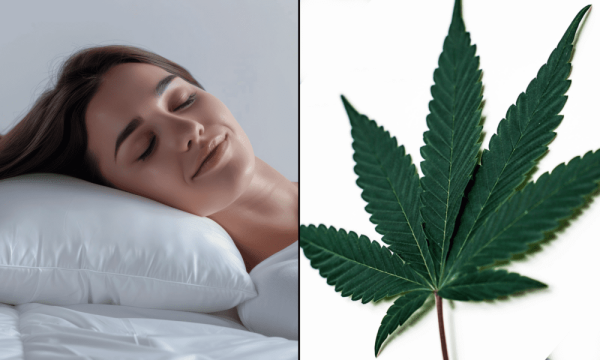 photo of Using CBD-Infused Pillowcases Leads To Improved Sleep Quality For Nurses, New Study Finds image
