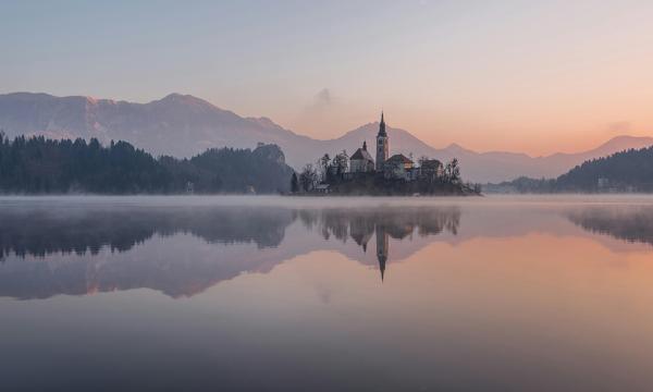 photo of Major Cannabis Policy Announcements in Slovenia and Czechia image