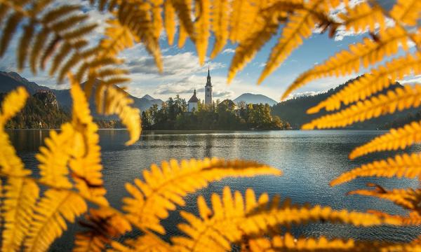 Slovenian Parliament Introduces Historic…