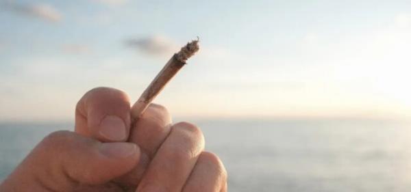 Study: Cannabis Legalization Associated…
