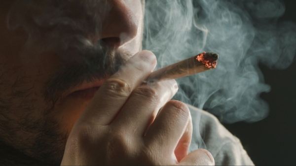 John Hopkins University Study: Cannabis…