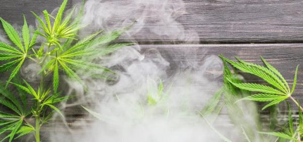 Bid to Repeal Maine Adult-Use Cannabis…