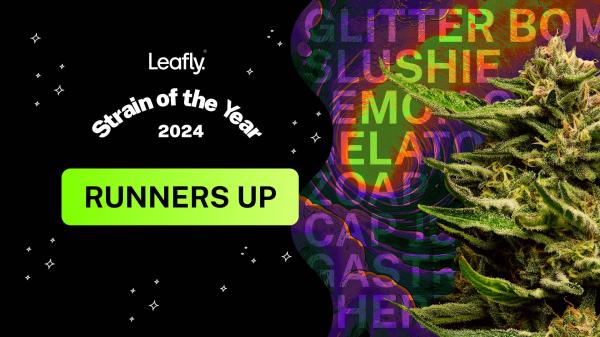 photo of The 7 runners-up strains to Leafly Strain of the Year 2024 image