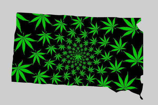 photo of South Dakota marijuana legalization campaign submits signatures to state image