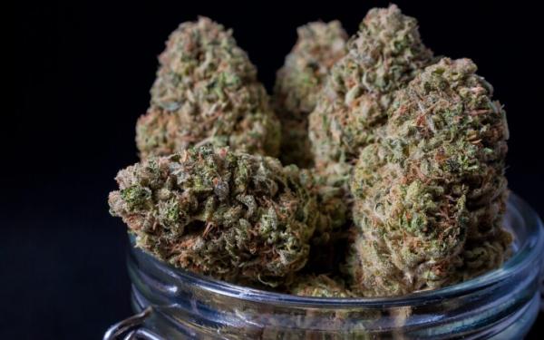 California Cannabis Advisory Committee…