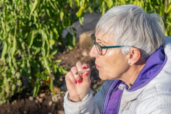 photo of Study Finds Medical Cannabis Improves Seniors’ Quality Of Life image