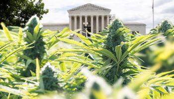 photo of US Supreme Court Hears Case of Trucker Fired For Failed Drug Test From Cannabis-Based CBD image