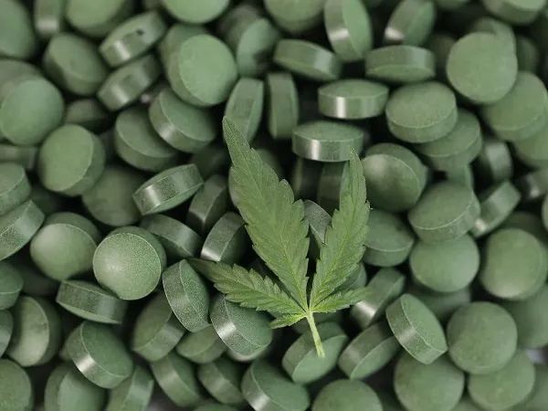 427-Person Study Finds Cannabinoid&hellip;