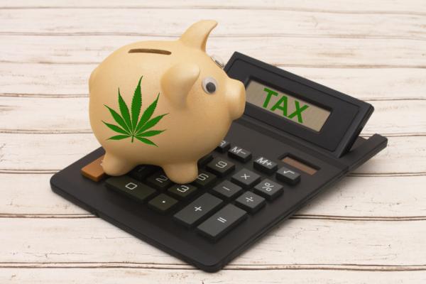 photo of Report: States struggle to balance revenue, risks around cannabis taxation image