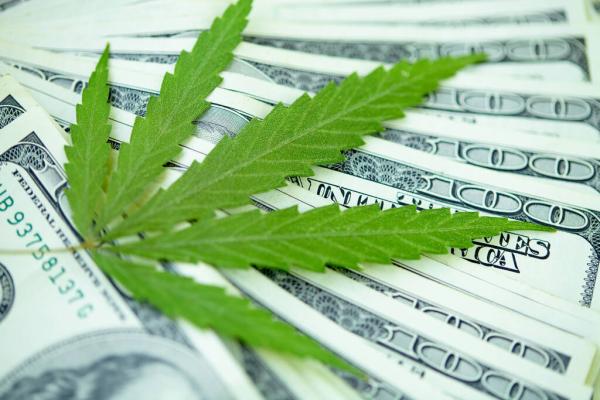 Shareholders of Washington Marijuana…
