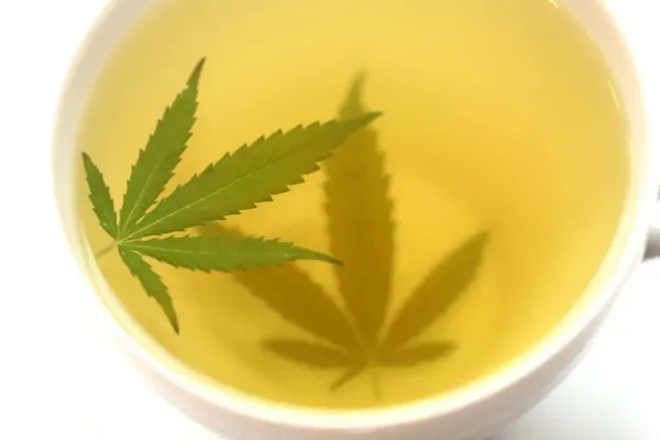 European Union Sets THC Limits and&hellip;