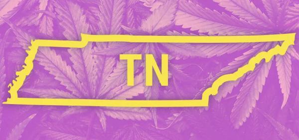 ‘Pot for Potholes’ Campaign Launched by&hellip;