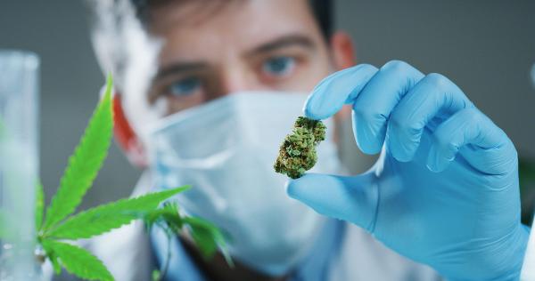 Oregon Proposes Marijuana Testing&hellip;