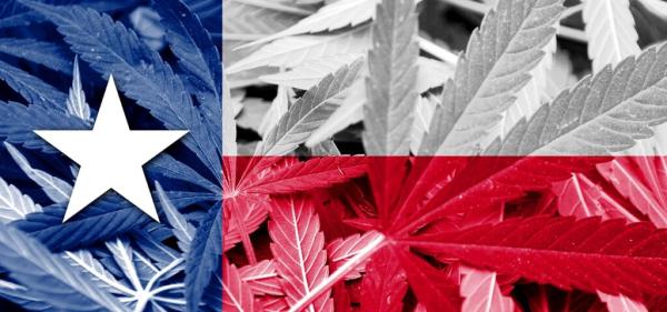 Texas Lt. Gov. Criticizes Governor’s…