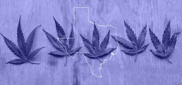 Texas Lawmakers Fail to Pass Hemp THC…