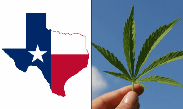 Texas Senator Files Bills To Regulate…