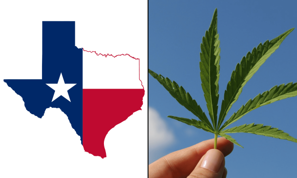 photo of Texas Officials Finalize Medical Marijuana Rules To Let Doctors Recommend New Qualifying Conditions And Prescribe THC… image