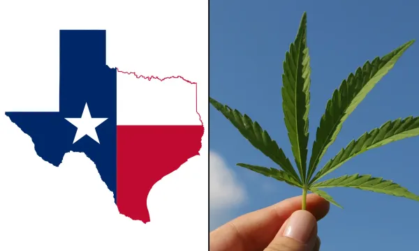 Texas Banning Cannabis Is An ‘Insane’&hellip;