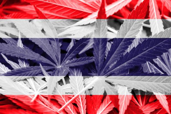 Thailand’s Cannabis Leadership: The…