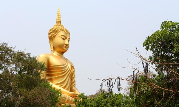 photo of Week in Review: Thailand Announces Cannabis Law Changes image