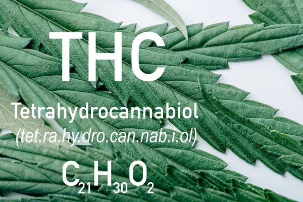 Study Finds THC Reduced Inflammation and Neuroinflammatory…