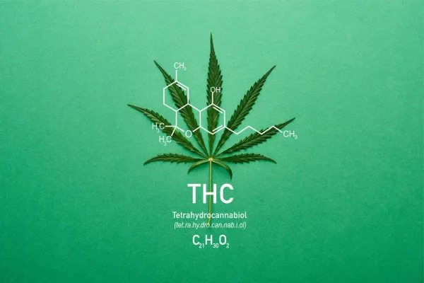 Study Finds THC Suppresses Inflammatory&hellip;