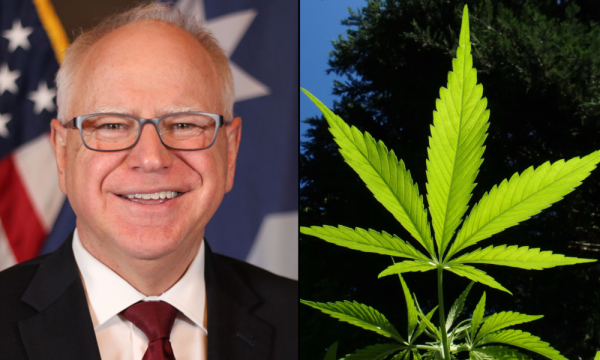 photo of Where Vice Presidential Candidate Tim Walz Stands On Marijuana image