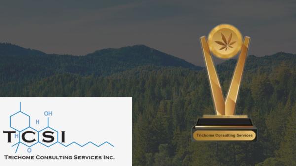 photo of Trichome Consulting Services named 2024 Cannabis Consulting Compliance Company image