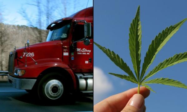 Truckers Support Marijuana Rescheduling,…
