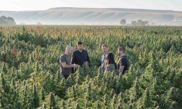 Terpenes, Unlocked: The Aromatic Soul&hellip;