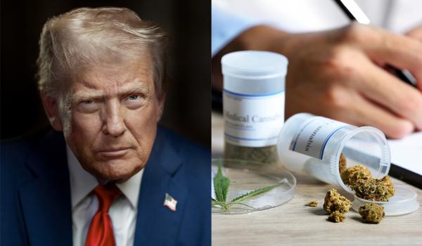 Trump Promotes Hemp-Derived CBD For…