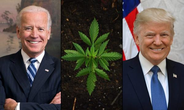 photo of Biden Vs. Trump On Marijuana: Where The Candidates Stand Heading Into The 2024 Election image