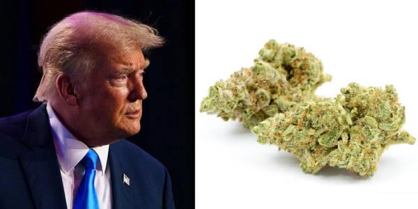 President Trump ‘Not Happy’ With…