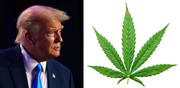 photo of Senior Trump Adviser Says President Is “Entirely Confident” DEA Will Quickly Finalize Marijuana Rescheduling image