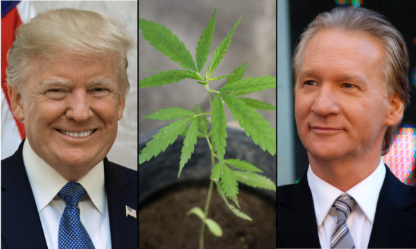 Trump Says Marijuana Is ‘Very Bad’ For&hellip;