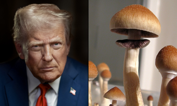 Trump’s Veterans Secretary Touts…