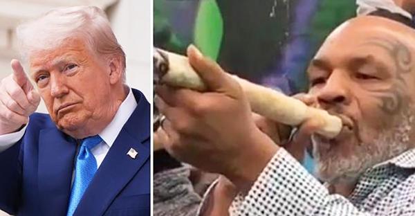 Black Celebs Implore White House to…