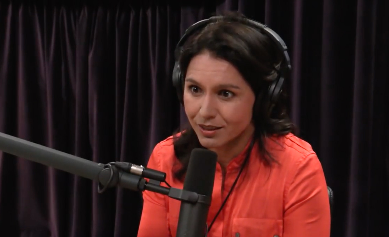 photo of Congresswoman Tulsi Gabbard Talks Marijuana And Psychedelics With Joe Rogan image