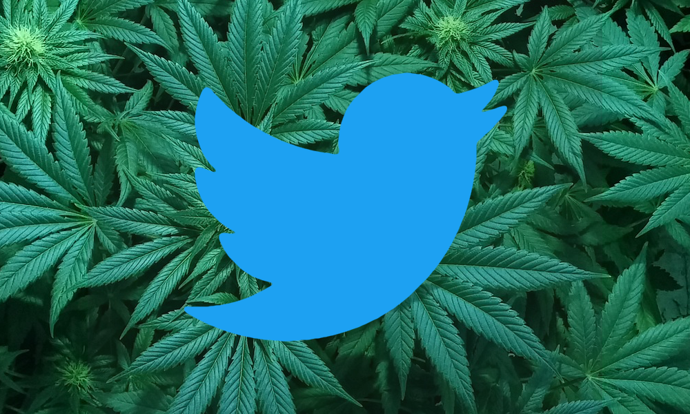 photo of 15 Of The Best Marijuana-Related Tweets From Politicians In 2018 image