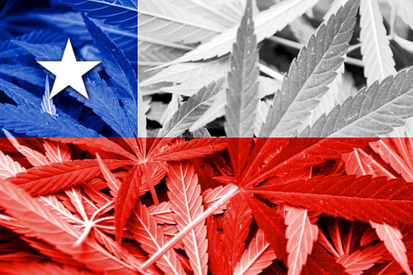 New Study Finds 294 Cannabis Social Clubs Operating Across&hellip;