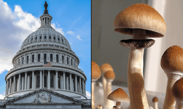 GOP Congressman Details…