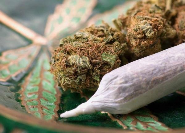 Vermont High School Marijuana Use Falls&hellip;