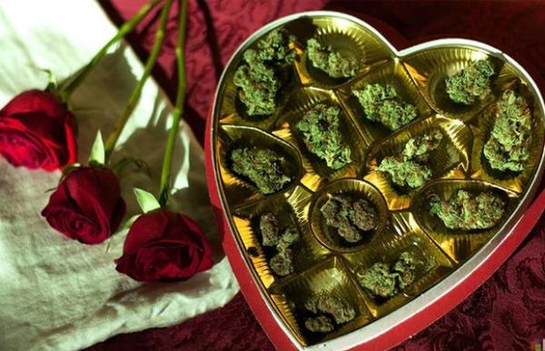 photo of 10 Lovely Strains for Valentine’s Day image