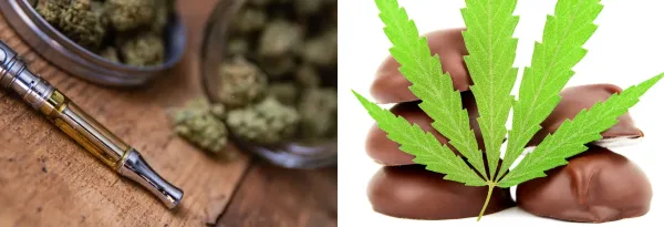 Federal Government Plans to Change…