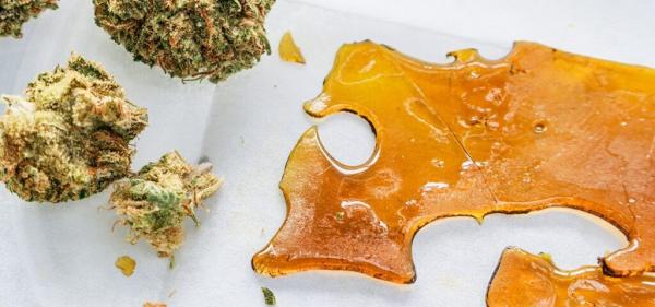 New York Seeking to Revoke Cannabis…