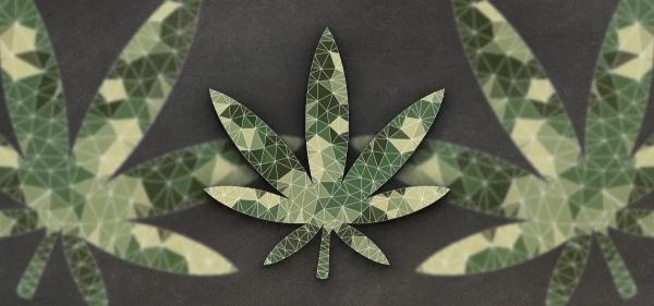 Florida Lawmakers Vote to Slash Medical…